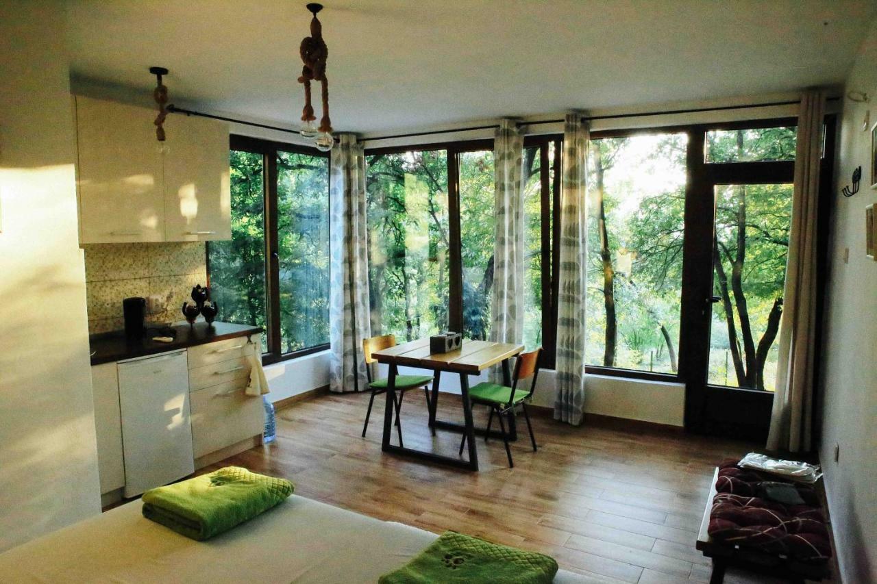 Donkey Farm Martinici - Farma Magaraca Martinici Bed & Breakfast Danilovgrad Екстериор снимка